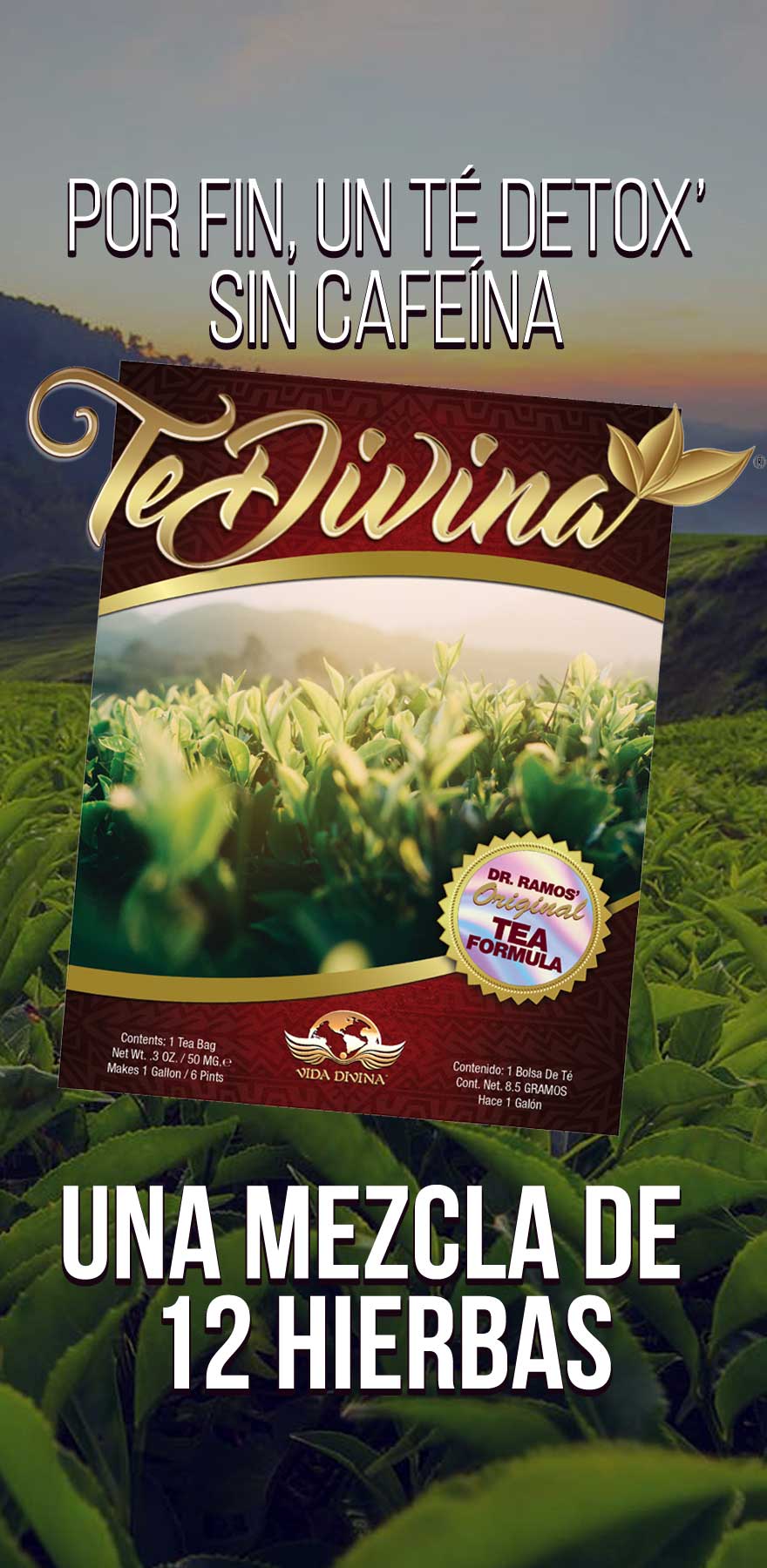 TeDivina